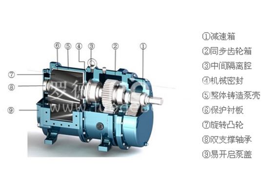 罗德转子泵