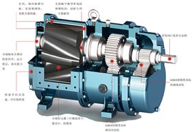 凸轮转子泵结构图解