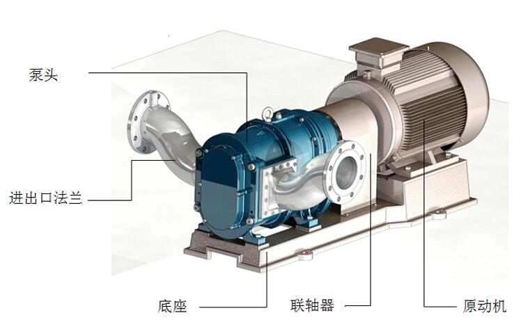 罗德凸轮转子泵结构