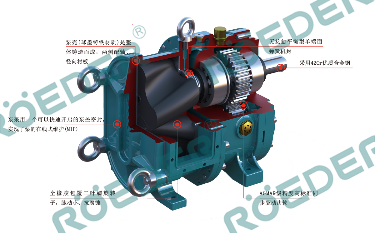 罗德凸轮转子泵内部结构以及零部件简析